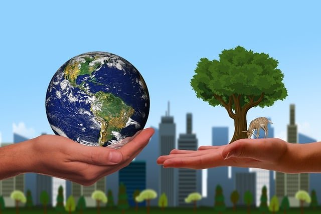 how to buy carbon offset